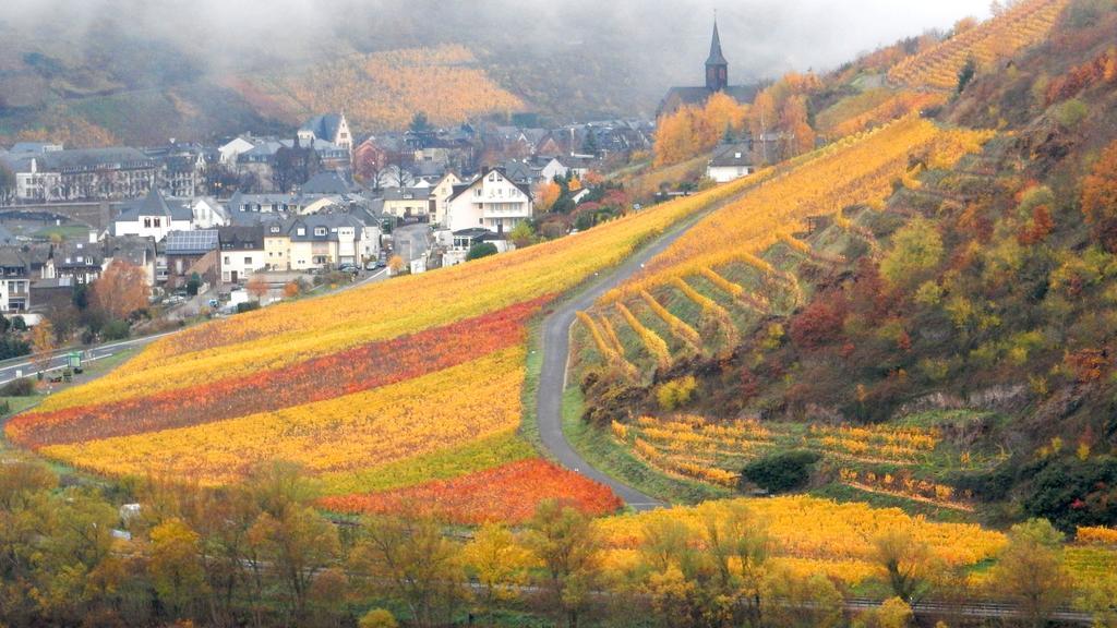 Apartment Happy Mosel Cochem Esterno foto